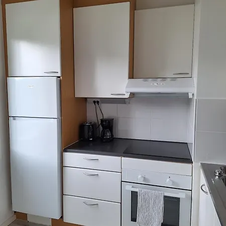 Ihana Asunto Laehellae Luontoa! * تامبير